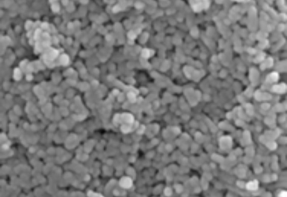 羥基磷灰石2_ChromaX&trade; 羥基磷灰石層析介質(zhì)