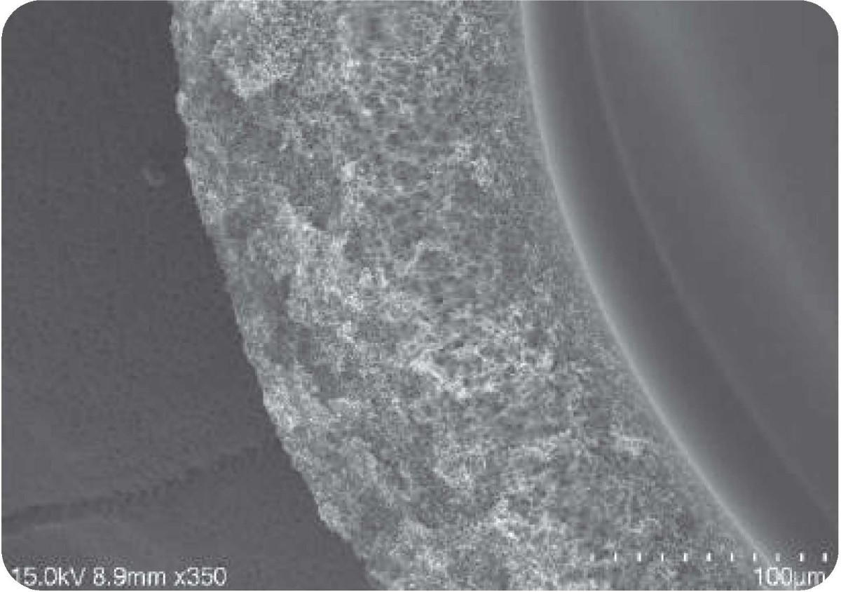 膜材 1_TFFNOVA&reg;中空纖維柱