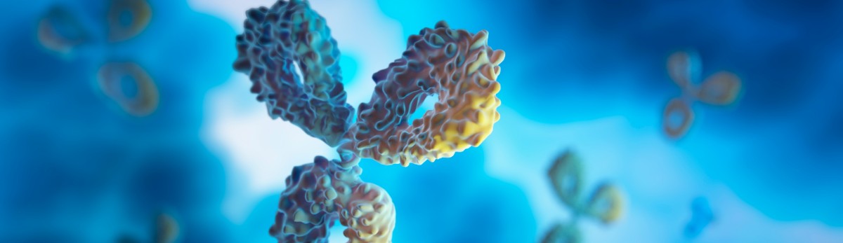 抗體偶聯(lián)藥物（ADC）