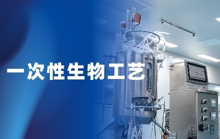 過程表征和驗(yàn)證