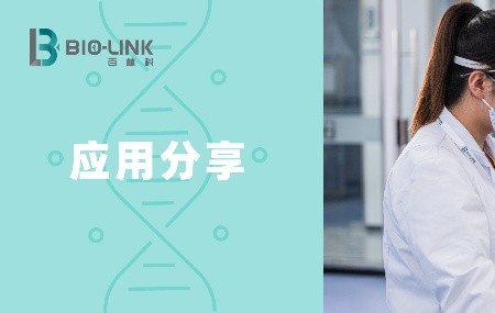 Protein A親和填料的清潔和壽命