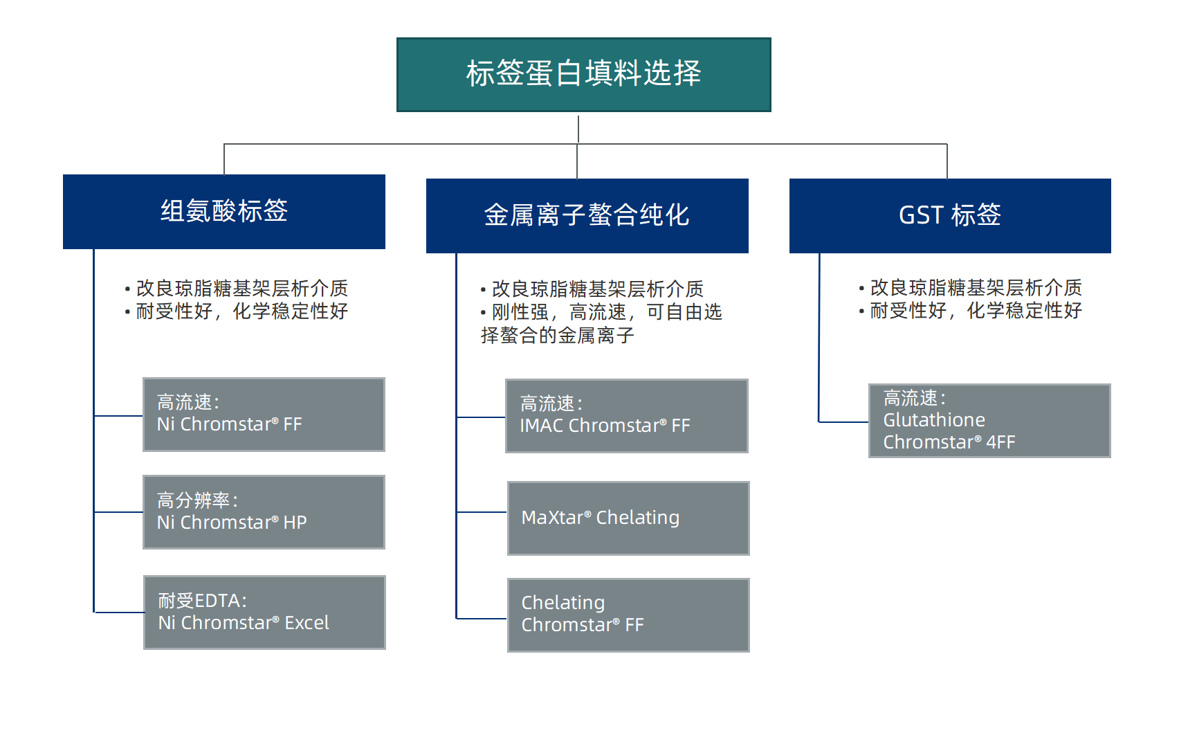 典型產(chǎn)品應(yīng)用進(jìn)展、競(jìng)品策略分享 2024.08.30 - 副本_01(1).png