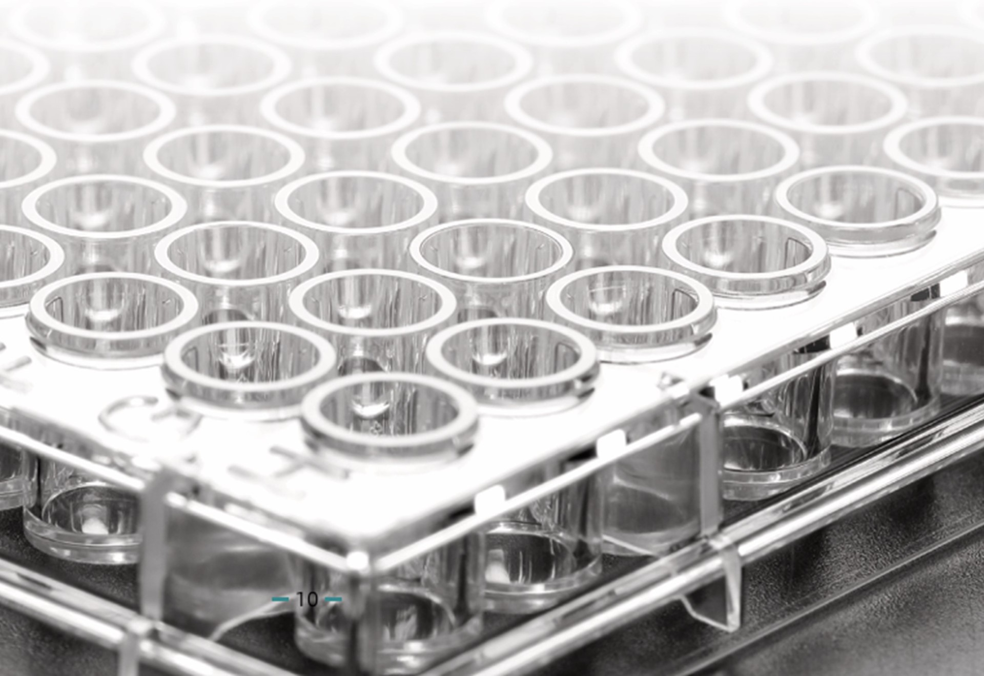 BioHub&reg; 系列多孔細(xì)胞培養(yǎng)板