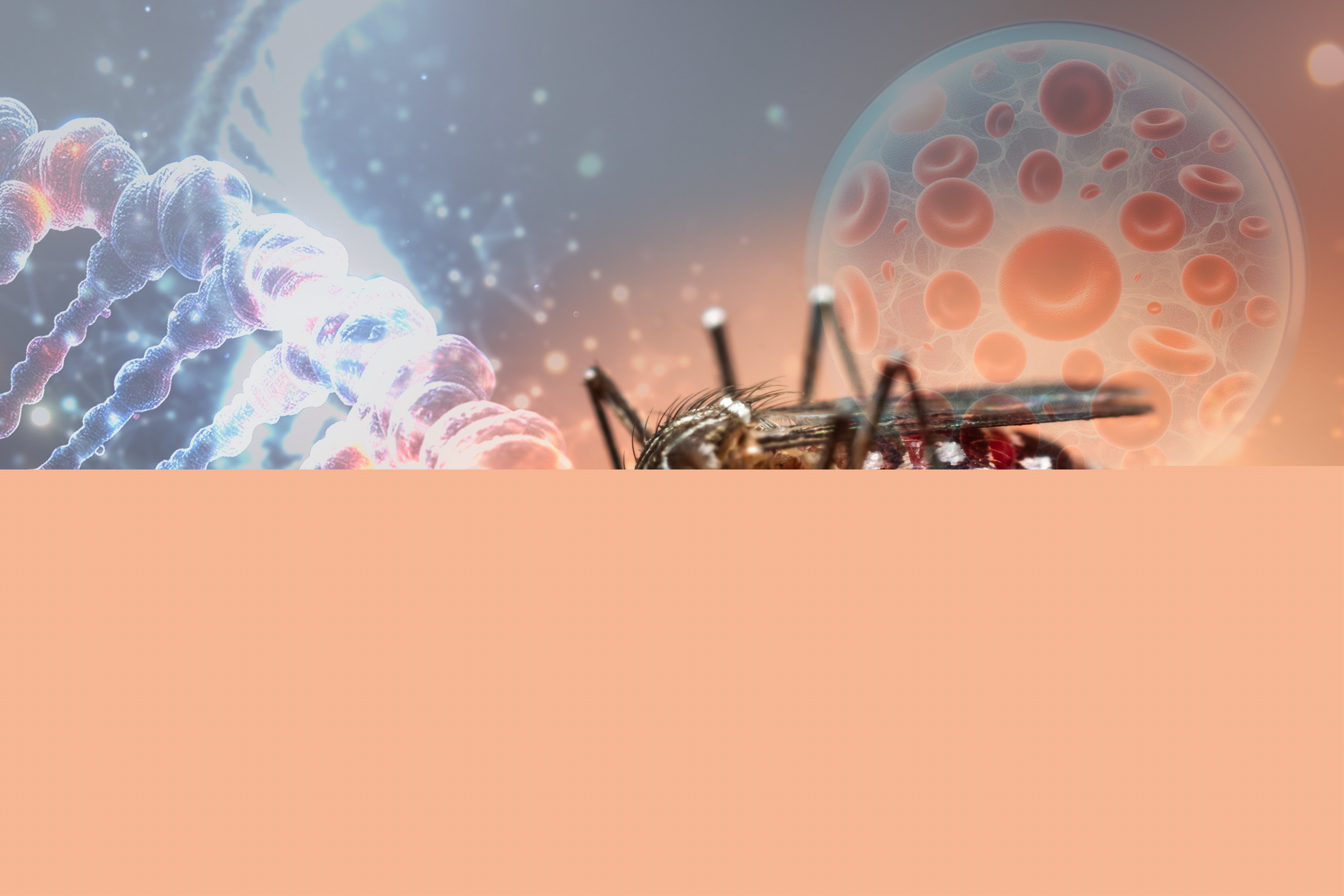 shutterstock_2411448941 (1)(1).jpg